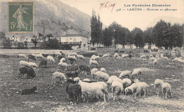 64-LARUNS-MOUTONS AU PATURAGE-N°6030-B/0171 - Laruns