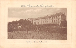 72-CHATEAU DU LOIR-COLLEGE COURS D AGRICULTURE-N°6030-D/0153 - Chateau Du Loir