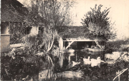 89-SEIGNELAY-LE MOULIN-N°6031-D/0349 - Seignelay