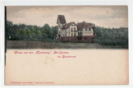 39068504 - Altkloster Bei Buxtehude Mit  Waldburg . Ungelaufen Um 1900 Leicht Stockfleckig, Sonst Gut Erhalten - Stade