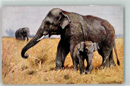 39808804 - H.K. U. Co.M. Serie 459 - Elephants