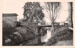 17-PONT L ABBE D ARNOULT-N°6035-A/0235 - Pont-l'Abbé-d'Arnoult