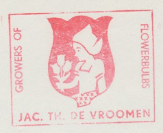 Meter Cut Netherlands 1966 Flower - Tulip - Costume - Otros & Sin Clasificación