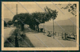 Varese Luino Cartolina QK1923 - Varese