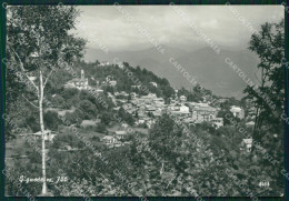 Verbania Gignese PIEGA Foto FG Cartolina ZK5781 - Verbania