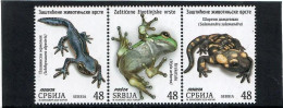 Serbia  2023 . Fauna, Animals, Amphibians, Frogs, Alpine Newt Fire Salamander . 3v. - Serbie