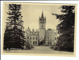 GENDRON-CELLES   CHATEAU DE NOISY - Houyet