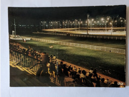 CP - L'hippodrome De Vichy Allier De Nuit - Paardensport