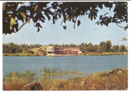 SYRIE - Lac Du Mzeirib - Siria