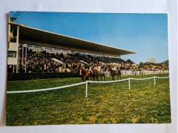 CP - L'hippodrome De Cagnes Sur Mer - Hippisme