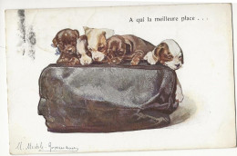 211 - Chiens - A Qui La Meilleure Place - Dogs