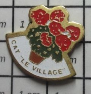 1618B Pin's Pins / Beau Et Rare : AUTRES / POT DE GERANIUMS ? CAT LE VILLAGE CENTRE D'AIDE PAR LE TRAVAIL - Other & Unclassified