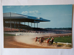 CP USA  -  Hippisme Atlantic City New Jersey City Race Course - Horse Show