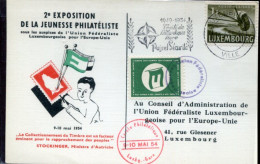 X0145 Luxembourg,special Card 1954 Exposition Jeunesse,Traitè Atlantique Nord NATO/OTAN Paix Et Securitè - Cartas & Documentos