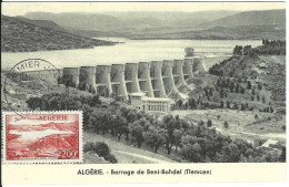 Carte Maximum ALGERIE N° 14 Poste Aerienne Ceres - Cartoline Maximum