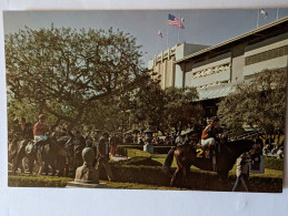 CP USA  -  Hippisme Turf  Hippodrome Santa Anita Park Arcadia Calif - Hippisme