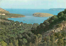 Espagne - Espana - Islas Baleares - Mallorca - Formentor - Vista General - Vue Générale - CPM - Voir Scans Recto-Verso - Mallorca