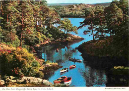 Irlande - Cork -  The Blue Pool , Glengarriff , Bantry Bay - Ireland - CPM - Voir Scans Recto-Verso - Cork