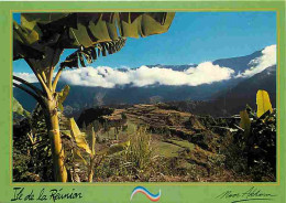 Ile De La Réunion - Cilaos - Sur La Route De Cilaos - CPM - Voir Scans Recto-Verso - Autres & Non Classés