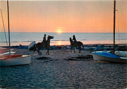 Animaux - Chevaux - Bords De Mer - Coucher De Soleil - Carte Neuve - CPM - Voir Scans Recto-Verso - Horses