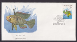 Hungary Ungarn Fauna Fische Papillioschromis Schöner Künstler Brief - Cartas & Documentos