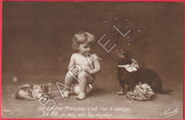 Petit Garçon Au Pot Accompagné D'un Chat Et D'un Chien - ''Les Pauvres Prussiens ...'' (Circulé En 1916) - Heimat