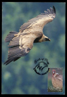 GIBRALTAR (2024) Carte Maximum Card - Birds Of Prey - Griffon Vulture, Gyps Fulvus, Vautour Fauve, Gänsegeier, Buitre - Gibilterra
