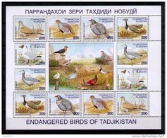 TADJIKISTAN 1996 - FAUNA PAJAROS . OISEAUX . BIRDS - VOGEL - YVERT Nº 75-80 - Gallinacées & Faisans