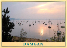 56 - Damgan - CPM - Voir Scans Recto-Verso - Damgan