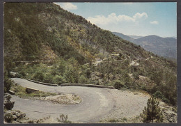 099443/ Col Saint-Roch Entre Lucéram Et Peïra-Cava - Lucéram