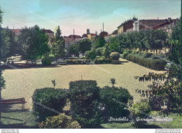 M69 Cartolina  Stradella Giardini Pubblici  Provincia Di Pavia - Pavia