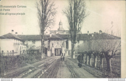 M8 Cartolina Certosa Di Pavia Viale All'ingresso Principale - Pavia