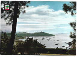 VISTA PARCIAL DE LA RIA / VUE PARTIELLE DE LA FLEUVE / PARTIAL VIEW OF THE FRITH.-  VIGO / GALICIA.- (ESPAÑA) - Otros & Sin Clasificación