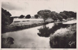 ARES LES RESERVOIRS A POISSONS - Arès