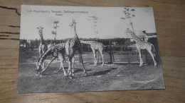 Carl Hagenbeck's Tierpark, STELLINGEN HAMBURG, Giraffen ................ BE-18402 - Stellingen