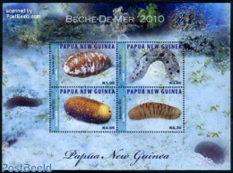 Papua New Guinea 2010 Marine Life 4v M/s, Mint NH, Nature - Shells & Crustaceans - Marine Life