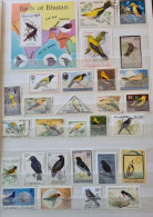 Collection De Timbres Sur Le Thème Des Oiseaux. - Sammlungen (ohne Album)