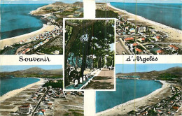 66* ARGELES Multivues  (CPSM Petit Format)    MA80-0234 - Argeles Sur Mer