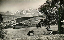 74* COMBLOUX Et Mt Blanc  (CPSM Petit Format)    MA80-0852 - Combloux