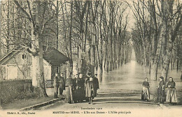 78* MANTES - LIMAY   Crue 1910 -  Ile Aux Dames â Allee              MA81.164 - Mantes La Ville