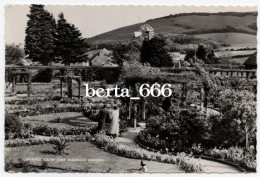 England Polegate Wannock Gardens Real Photo - Other & Unclassified