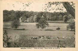 89* BLENEAU   Moulin Du Coudray      MA82_0637 - Bleneau