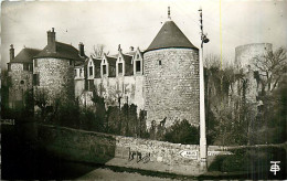 91* DOURDAN   Chateau Fort  CPSM (petit Format)       MA82_0769 - Dourdan