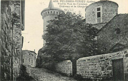 42* PELUSSIN VIRIEU  Château                        MA85-1129 - Pelussin
