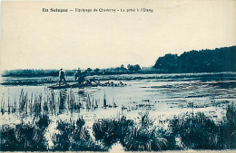 41* CHEVERNY  Chasse A Courre  Prise  A L Etang            MA85-1038 - Cheverny