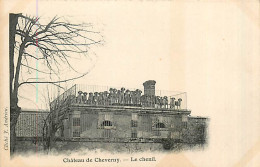 41* CHEVERNY   Chenil                      MA85-1018 - Cheverny
