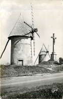 85* LES HERBIERS  Moulin  (CPSM Petit Format)                        MA89,0548 - Les Herbiers