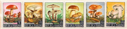 San Marino MNH Set - Mushrooms