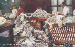 Australia, Sheep Station, Sorting The Wool, C1900s/10s Vintage Tuck's Oilette Series II #9346 Postcard - Otros & Sin Clasificación