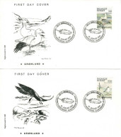 Greenland 1990; Birds.  Set Of 2 On FDC (Foghs Covers). - FDC